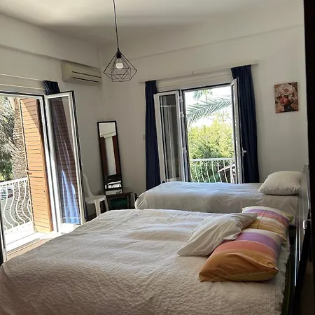 Bougainvillea * 니코시아