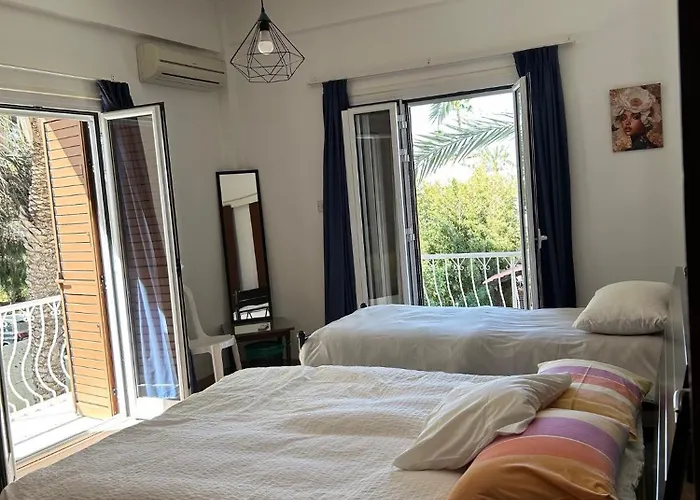 Bougainvillea * Nikosia